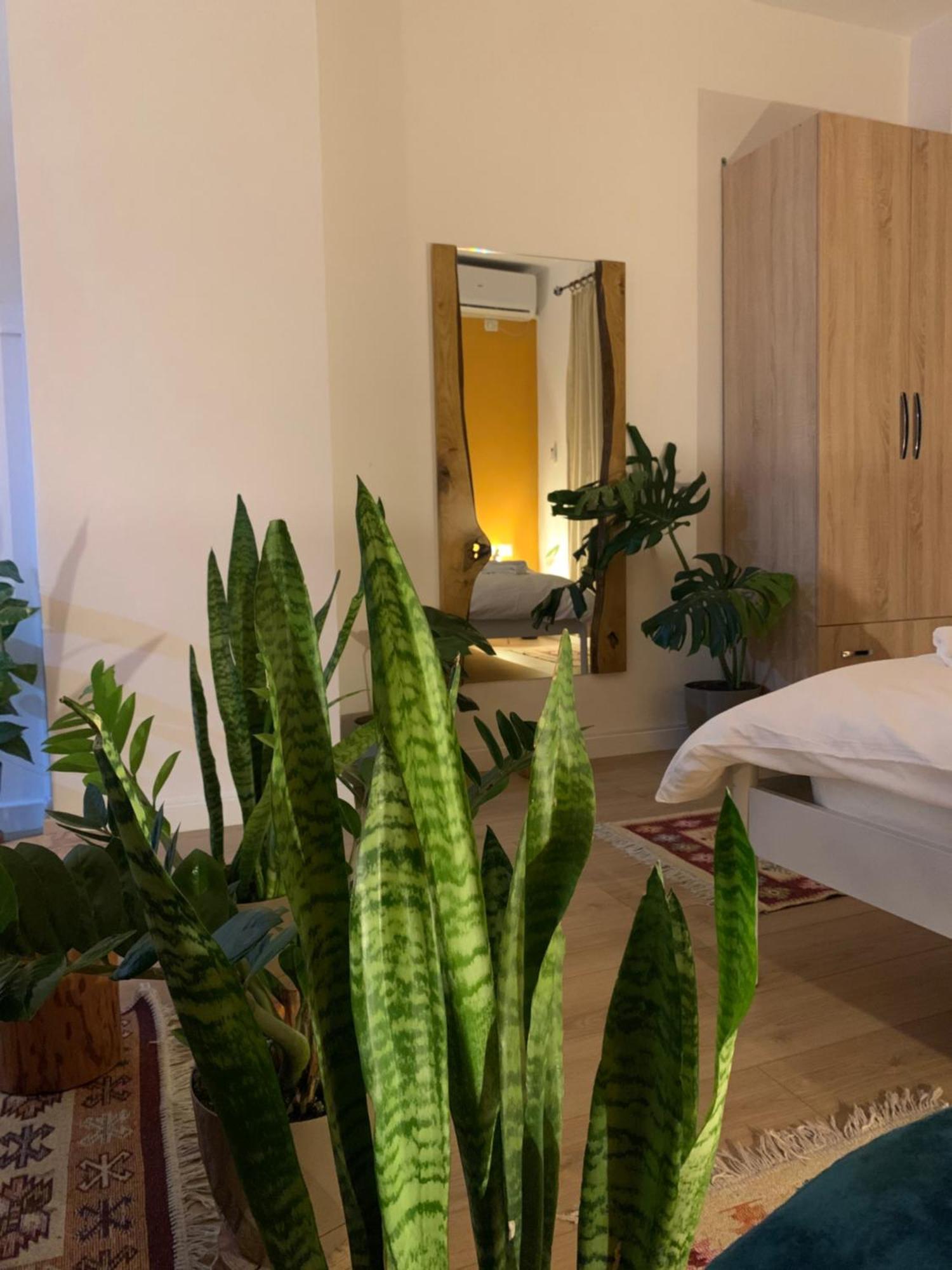 Vibe Studio Apartment Tirana Eksteriør billede